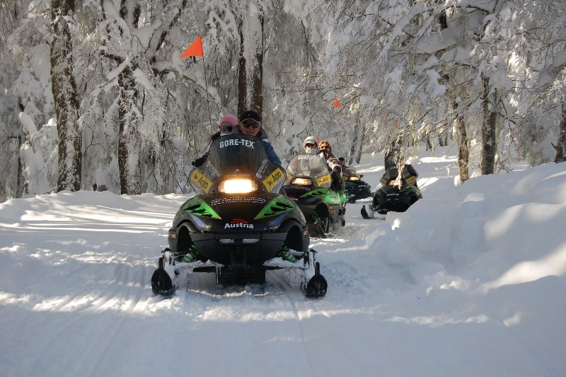 Actividades de invierno